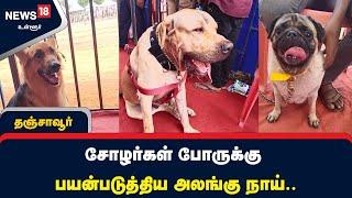 சோழர்கள் போருக்கு பயன்படுத்திய அலங்கு நாய்.. தஞ்சாவூர் நாய்கள் கண்காட்சியில் வியந்து பார்த்த மக்கள்