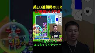 【とこぷよ】美しい連鎖尾のLLR17連鎖14.9万点【ぷよぷよeスポーツ】#Shorts