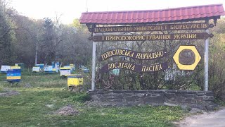 Кафедра конярства і бджільництва НУБіП України