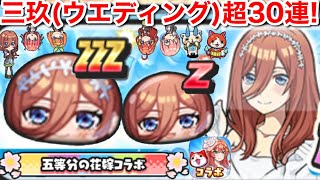 三玖 (ウエディング) 五等分の花嫁 コラボ 超ガシャ 30連！無課金でぷにぷに楽しめる会！【妖怪ウォッチぷにぷに】一花 ニ乃 四葉 五月 五つ子 五姉妹 Uz おススメは？形見のピアス Yo-Kai