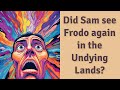 Did Sam see Frodo again in the Undying Lands?