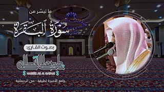 ﴿ ألا إن نصر الله قريب ﴾ | صلاة العشاء للشيخ ناصر القطامي من سورة البقرة - الاثنين 23-5-1435هـ