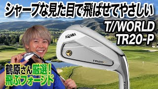 飛んでやさしいフォージドアイアン！本間ゴルフ「ツアーワールド TR20-P」