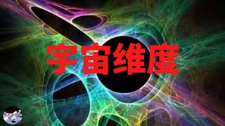 宇宙维度：为什么科学家猜测宇宙有11个维度？︱【猪二哥探索】