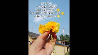 କାହା ଉପରେ ଆମର ଅଧିକାର ନଥାଏ..😢#odia_story😢#whatsapp_status #brokenheart_status💔#short video