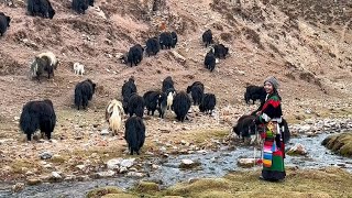 This is a collection of life in pastoral areas.