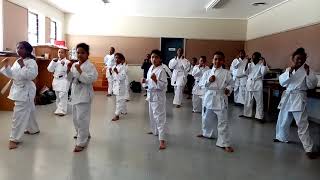 Sensei Deens Valhalla Primary Dojo