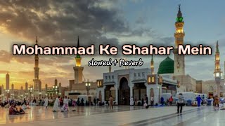 Qawwali [slowe+reverb]- मोहम्मद के शहर में | Mohammad Ke Shaher Mein Aslam Sabri | Qawwali 2023.