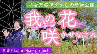 【八百万の神々からの音声公開】『我の花 咲かせなされ』〜369ミロクの世とは互いの花を愛でゆくような御世よ〜　生きるのが辛いと感じる方へどうか届きますように  音葉＊otoha＊