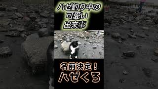 ハゼ釣り中の可愛い出来事 #shorts