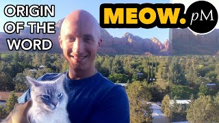 Etymology of Meow | A (Not Very) Serious Etymology Video