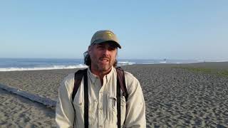 Finding Snowy Plovers at Humboldt Lagoons State Park