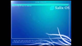 Salix Live Mate 14.1 64 bit - UEFI/EFI