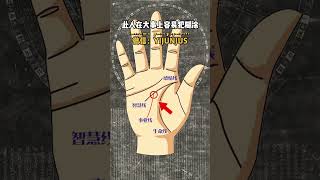 #palmistry #八字 #手相 #國學智慧 #面相