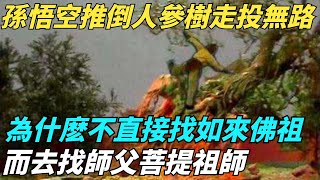 孫悟空推倒人參果樹走投無路時，為什麽不直接找如來佛祖，而去找師父菩提祖師？【縱觀千秋】#歷史#歷史故事#歷史人物#史話館#歷史萬花鏡#奇聞#歷史風雲天下