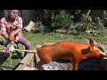 CHANCHO ALA BRASA ASADO entero CRUJIENTE COMO PANQUEQUES - CHOLO AQUILES