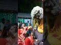 dekhun matha uchu kore chandannagarjagadhatripuja 2023