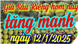 giá sầu riêng hôm nay ngày 12/1/2025