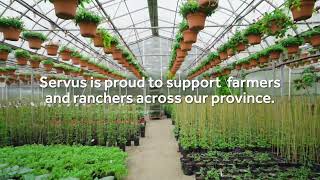 Servus   Alberta Open Farm Days   Sponsorship Video 2022   15s