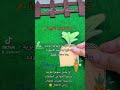 قصة الجزرة الكبيرة 🥕