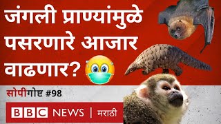 Corona: Will wild animals spread diseases like covid in future? #Sopigoshta 98 ​​(BBC News Marathi)