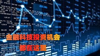 【重磅干货】金融科技革命进行时：从智能投顾到数字人民币，解密六大行巨额科技投入背后的真相，普通投资者如何抓住这波数字化东风？