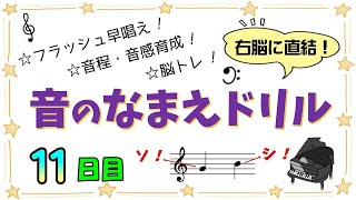 【音のなまえ　ドリル】11日目　右脳に直結☆フラッシュ早唱え｜☆音程・音感育成☆脳トレ