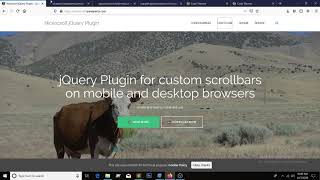 jQuery NiceScrolljs plugin use