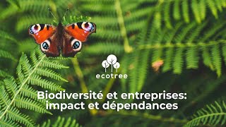 Entreprises et biodiversité : impact et dépendances | Webinaire | EcoTree