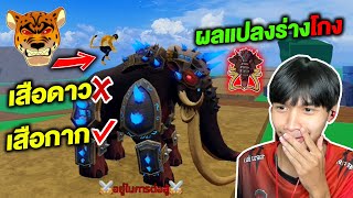 Blox Fruits เล่นผลช้าง 1-1 ผลเสือโกง ผลไหนเทพPVP