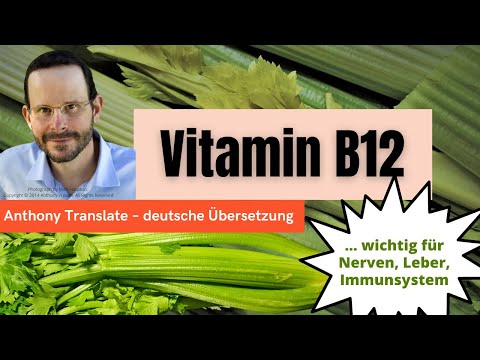 Vitamin B12 Für Nerven, Immunsystem Und Leber – Anthony William ...