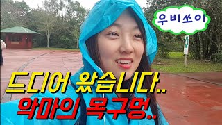 🇦🇷 #103 말로만 듣던 미친 폭포, '이과수 폭포'에 가다 ㅣ아르헨티나 여행