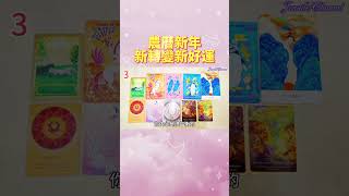 🔮塔羅占卜🎉農曆新年～你將收穫什麼新轉變新好運？圓滿實現什麼幸運幸福開心事？感情|事業學業|金錢財富|願望夢想理想🎁🎉#新年快樂#正能量#分享#愛#love#tarot