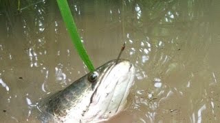 Wow Amazing Traditional Fishing-Kids Fishing In Cambodia- Real Life Of Cambodian People