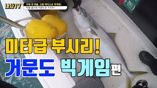 [FJ나사] 고흥 에이스호 빅게임(부시리 지깅), 거문도 빅원 잡즈아!