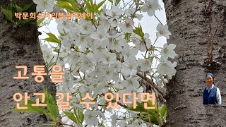 고통을 안고 갈 수 있다면