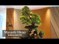 Bonsai Master Masashi Hirao 盆栽師平尾成志