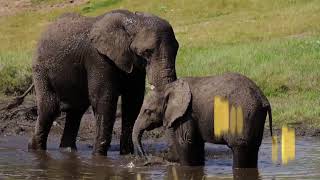 Liberia Tourism