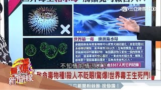 20170226【驚爆新聞線PART4】致命毒物種殺人不眨眼　世界毒王生死鬥！│呂惠敏主持│三立新聞台