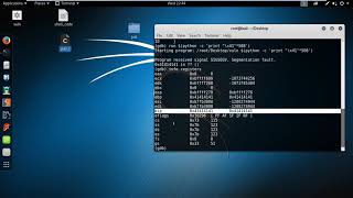 buffer overflow tutorial in kali linux to execute shell command