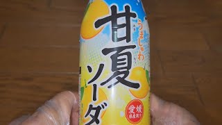 SANGARIA　うましゅわ甘夏ソーダ　◎愛媛県産果汁　果汁１%　炭酸飲料　甘夏のすっきりした味わいとはじける爽快感　●内容量：500ml　Sweet and tangy flavored soda　