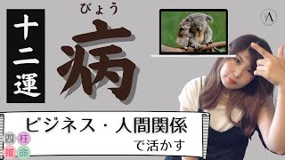 【四柱推命初心者】十二運「病」、動物占い「コアラ」の星。ビジネス・人間関係で活かす