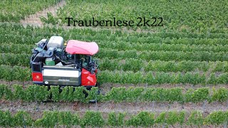 Traubenernte 2022 mit einem ERO Grapeliner 7200 V #ero #ERO #weinbau #weinberg #trauben #vollernter