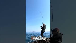 台中就有的魚跑來這裡釣？ #shorts #fishing #short