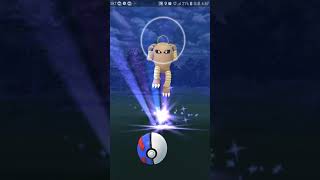 포켓몬고 야생의 시라소몬이 떳다! 길쭉길쭉한아이 어서잡혀라! Pokemon Go [대잭팟 게임실황]