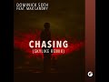 chasing skylike remix