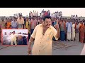 Nandamuri Hari Krishna All Time Best Movie Action Scene | Hari Krishna Dialogue | Telugu Videos