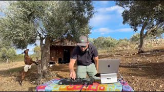 🐐 Funky Farm Yard Mix - Algarve hills 🐔