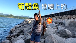 香港釣魚2023︱筍殼魚連續上釣 後遇見神奇大魚，回家後試使做油浸筍殼 味道是.......水塘釣記EP3