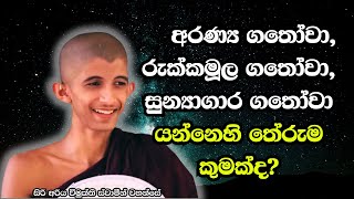 අරණ්‍ය ගතෝවා, රුක්කමූල ගතෝවා, සුන්‍යාගාර ගතෝවා යන්නෙහි තේරුම කුමක්ද?